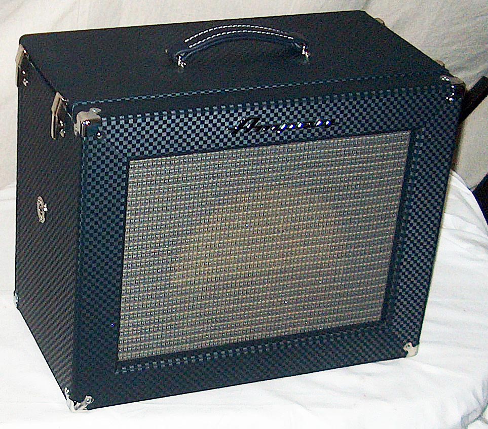 Ampeg B12N Cabinet Front